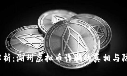  深入解析：湖州虚拟币诈骗的真相与防范策略